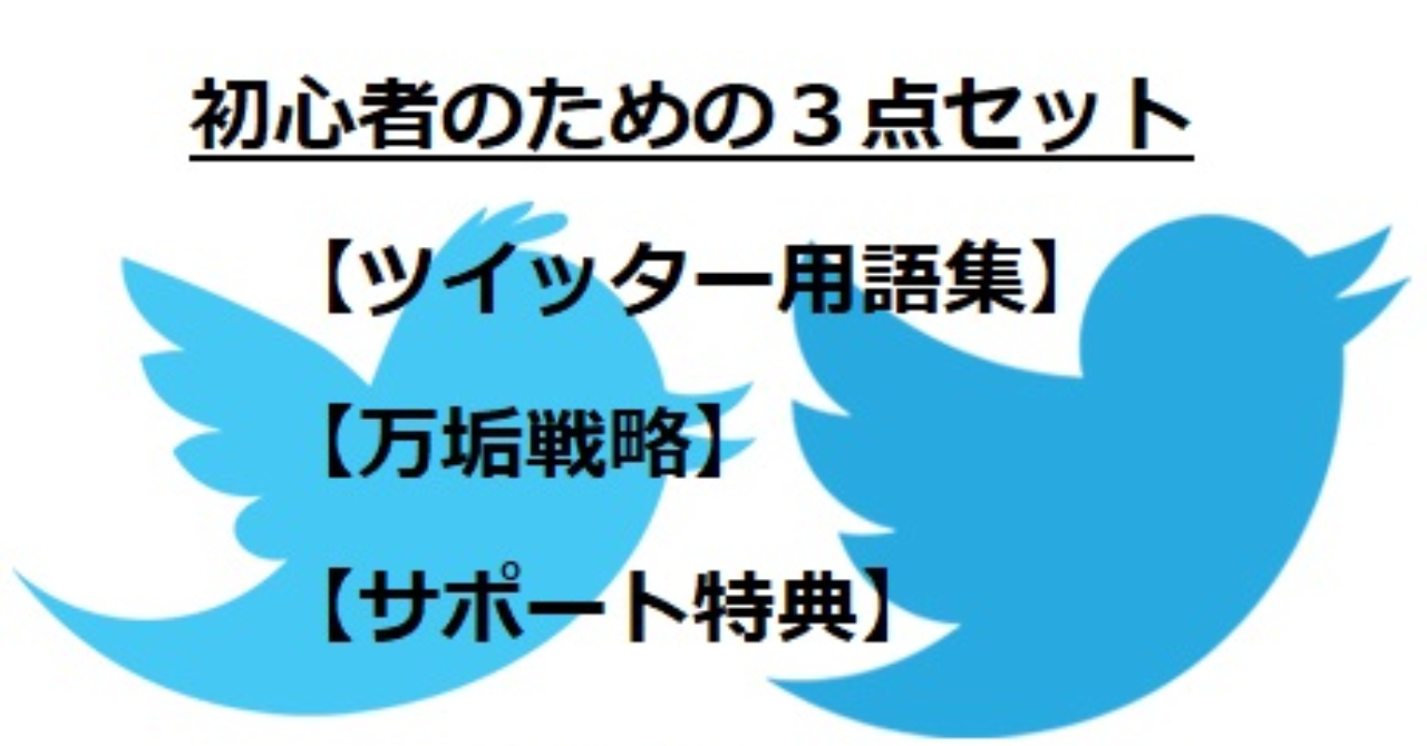 ツイッター3点セットで 初心者スタートダッシュ応援 タイキ Brain