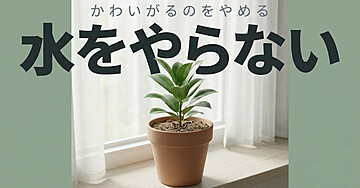 観葉植物をすぐ枯らす人のための「水をやらない」入門：かわいがるのをやめたら、枯れなくなりました