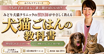 「うちの子のごはん、誰に聞けばいいの？」 わが子の健康を守るごはんの土台がつくれる【犬猫ごはんの教科書】