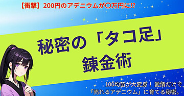 【衝撃】200円のアデニウムが〇万円に⁉︎ 秘密の「タコ足」錬金術