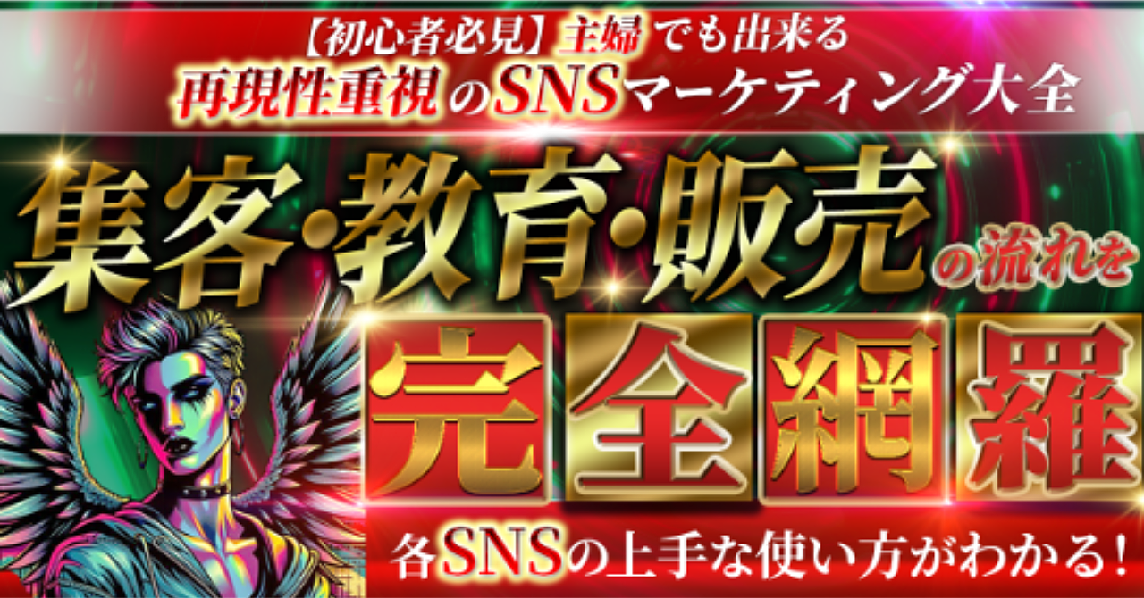 【初心者必見】主婦でも出来る 再現性重視のSNSマーケティング大全 集客・教育・販売の流れを完全網羅　各SNSの上手な使い方がわかる！