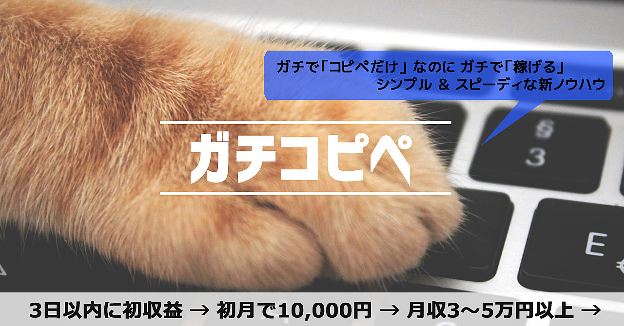 【初月から10,000円以上】ビジネス経験0の超初心者でも100%稼げる『ガチコピペ』【3日以内に初収益】