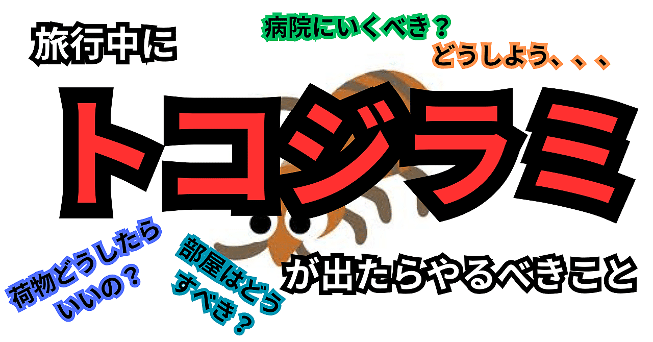 【海外旅行】旅行中トコジラミが出たらやるべきこと！！！