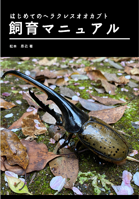 たった3ヶ月で60万円】虫嫌いなアナタでも不労所得が手に入る。ヘラクレスオオカブト販売ビジネス解体新書 | まつもと | Brain