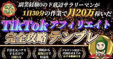 【動画のテンプレ通りに作業するだけ】1日たった30分の作業で月20万稼いだTikTokアフィリエイト完全攻略テンプレ
