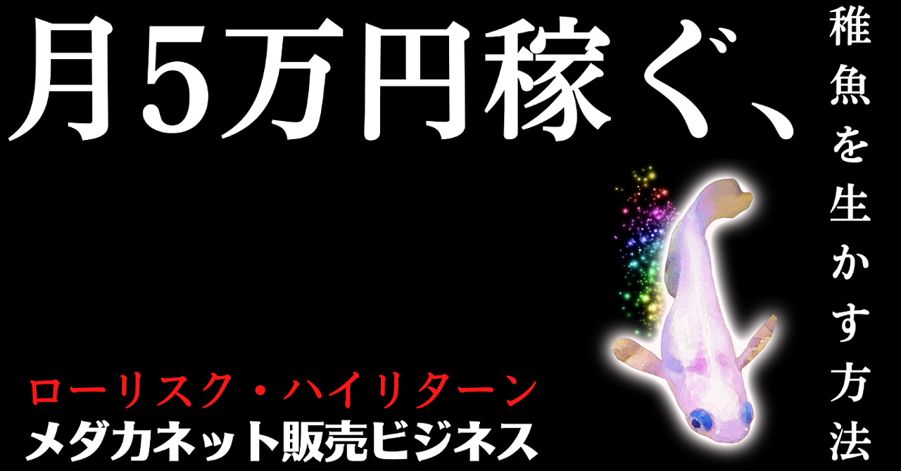 生存率爆上げ メダカの稚魚 お宝を制する者がメダカビジネスを制する Shoxichi Webとメダカで生きていく Brain